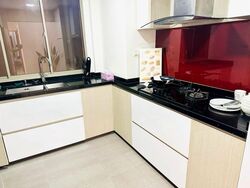Parc Vista (D22), Condominium #525842591